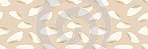 Semirealistic pattern of shell .Hand-drawn shell pattern. Shell isolated pattern for background.