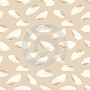 Semirealistic pattern of shell .Hand-drawn shell pattern. Shell isolated pattern for background.