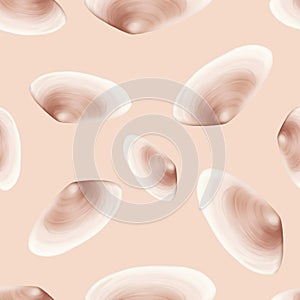 Semirealistic pattern of shell .Hand-drawn shell pattern. Shell isolated pattern for background.