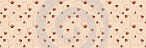 Semirealistic pattern of shell .Hand-drawn shell pattern. Shell isolated pattern for background.