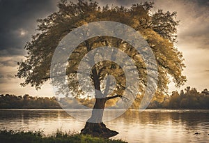 sunset in in the river