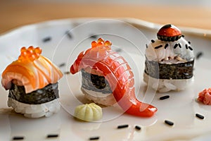 Journey for your palate, the omakase, premium sushi nirigi photo