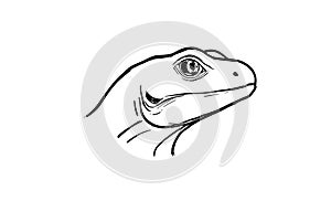 Minimalist One-Line Vector Drawing of Lizard Head in Profile