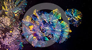 Colorful crystals display vibrant iridescence on a dark background.
