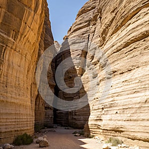 Rocky Canyons and Ancient Desert Formations in Arabia