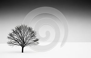 A solitary, leafless tree stands against a stark winter landscape.AI