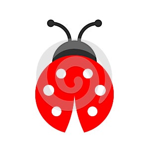 Lady bug vector icon photo