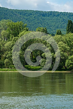 Untouched bank of the Danube in Hungary, Europe