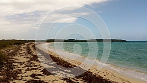 Untouched beach in Cuba with seaweed washed ashore