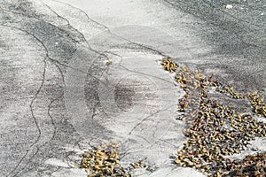 Untouched beach after a lowtide