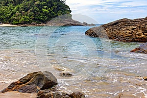 Untouched and deserted beach, surrounded by rainforest