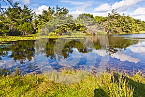 Untouched nature on the island of Fanoe