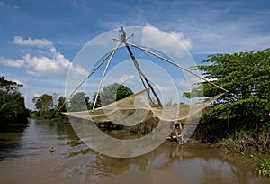 Untouched Nature In the Mekong River Delta