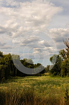 Untouched nature in sunny weather with clouds