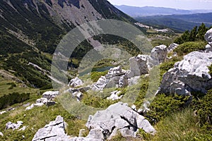 Untouched nature, surrounding Satorsko lake