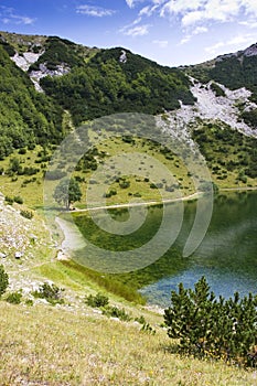 Untouched nature, surrounding Satorsko lake