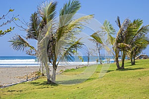 Untouched sandy beach