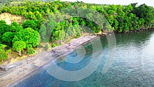 The untouched side of a beach with swashing water and a lo of trees