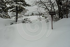 Untouched Snow Along Connector Trail In Kolob Terrace Of Zion