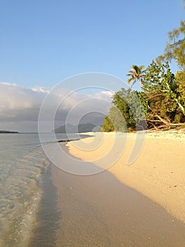 An Untouched South Pacific Beach