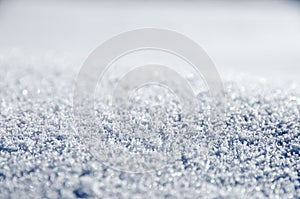 Untouched sparkling snow photo