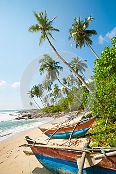 Untouched tropical beach photo