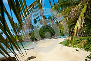 Untouched tropical beach