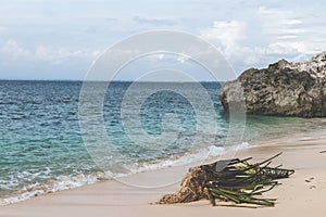 Untouched tropical beach. Bali island, Indonesia.