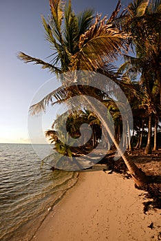 Untouched tropical beach in beautiful location