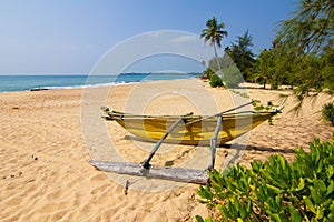 Untouched tropical beach with palms and fishing boats in Sri-Lanka