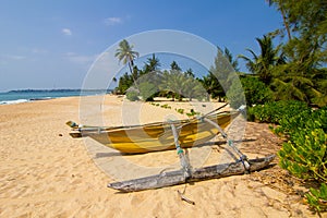 Untouched tropical beach with palms and fishing boats in Sri-Lanka