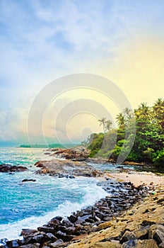 Untouched tropical beach with palms in Mirissa