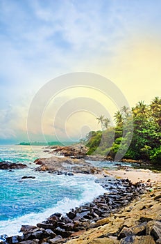 Untouched tropical beach with palms in Mirissa photo