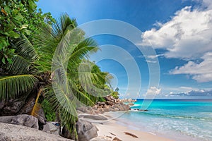 Untouched tropical beach in Seychelles.