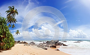 Untouched tropical beach in Sri Lanka Ambalangoda