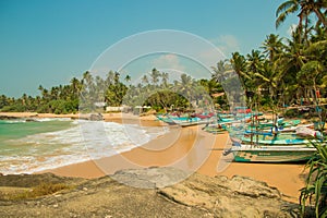 Untouched tropical beach. Tropical vacation in Sri Lanka.