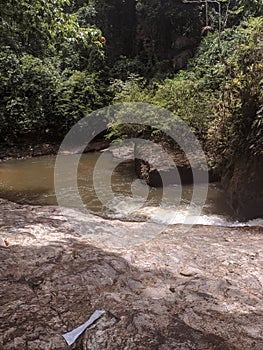 Untouched waterfall landscape and trees