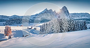 Untouched winter landscape of Alpe di Siusi ski resort.