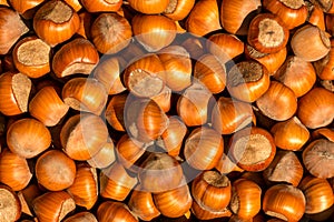 Untreated hazelnut beautiful background view from the top