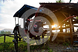 Unused Abandoned horse cart carriage