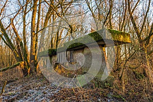 Unused bridge pier covered with moss