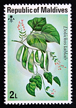 Unused post stamp Maldives 1976, Bonavist beans, Dolichos lablab