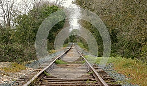 Unused railroad tracks.