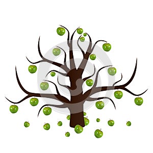 The unusual apple-tree