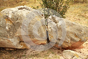 Unusual beautiful big old boulders