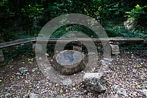 An unusual bench near a stump in the forest near the Krasnaya cave, Simferopol region, Crimea