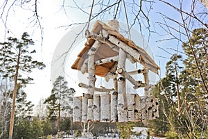 Unusual bird feeder made from birch branches