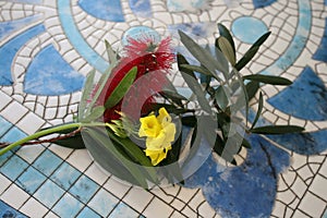 Unusual bouquet on a white background