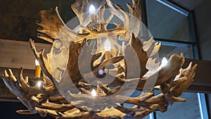 Unusual chandelier made of deer horns or antlers hanging indoors of home or hotel. Suspension light made from horn.