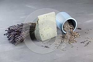 Unusual cheese with the addition of lavender flowers on a gray background surrounded by constituent ingredients. Fashionable and